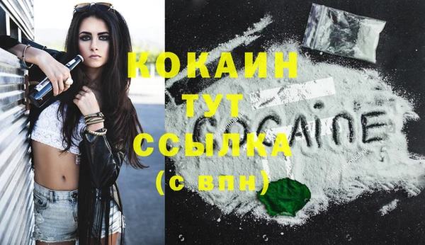 мдпв Новодвинск