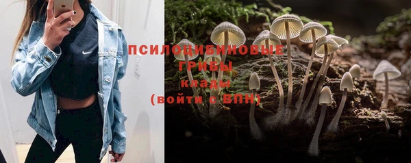 мет Нефтекумск