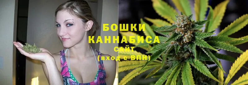 Конопля SATIVA & INDICA  Нестеровская 